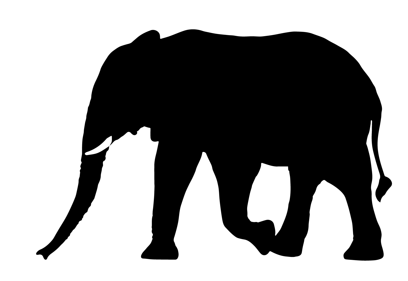 Elephant free SVG cut file
