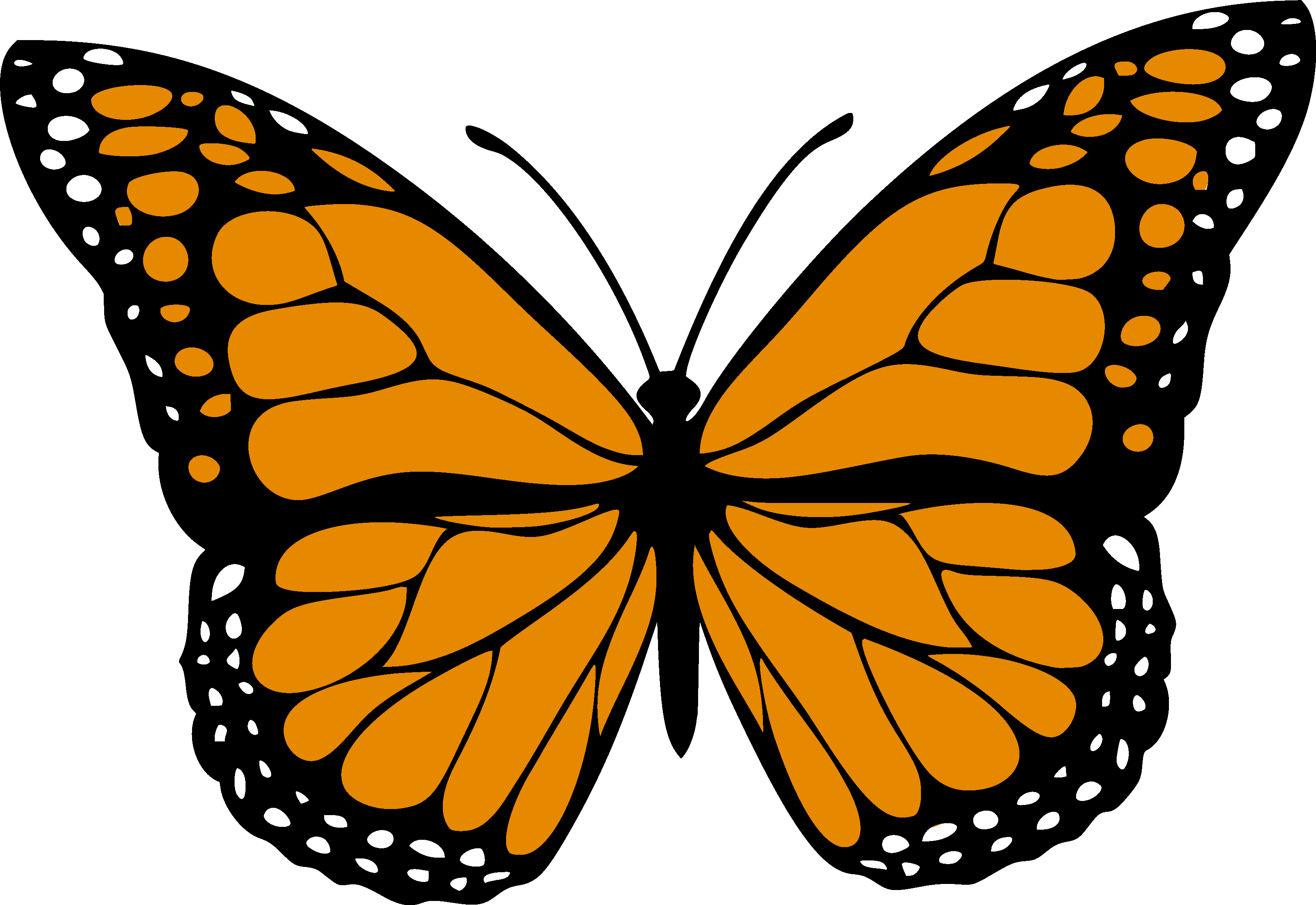 Monarch Butterfly free SVG cut file