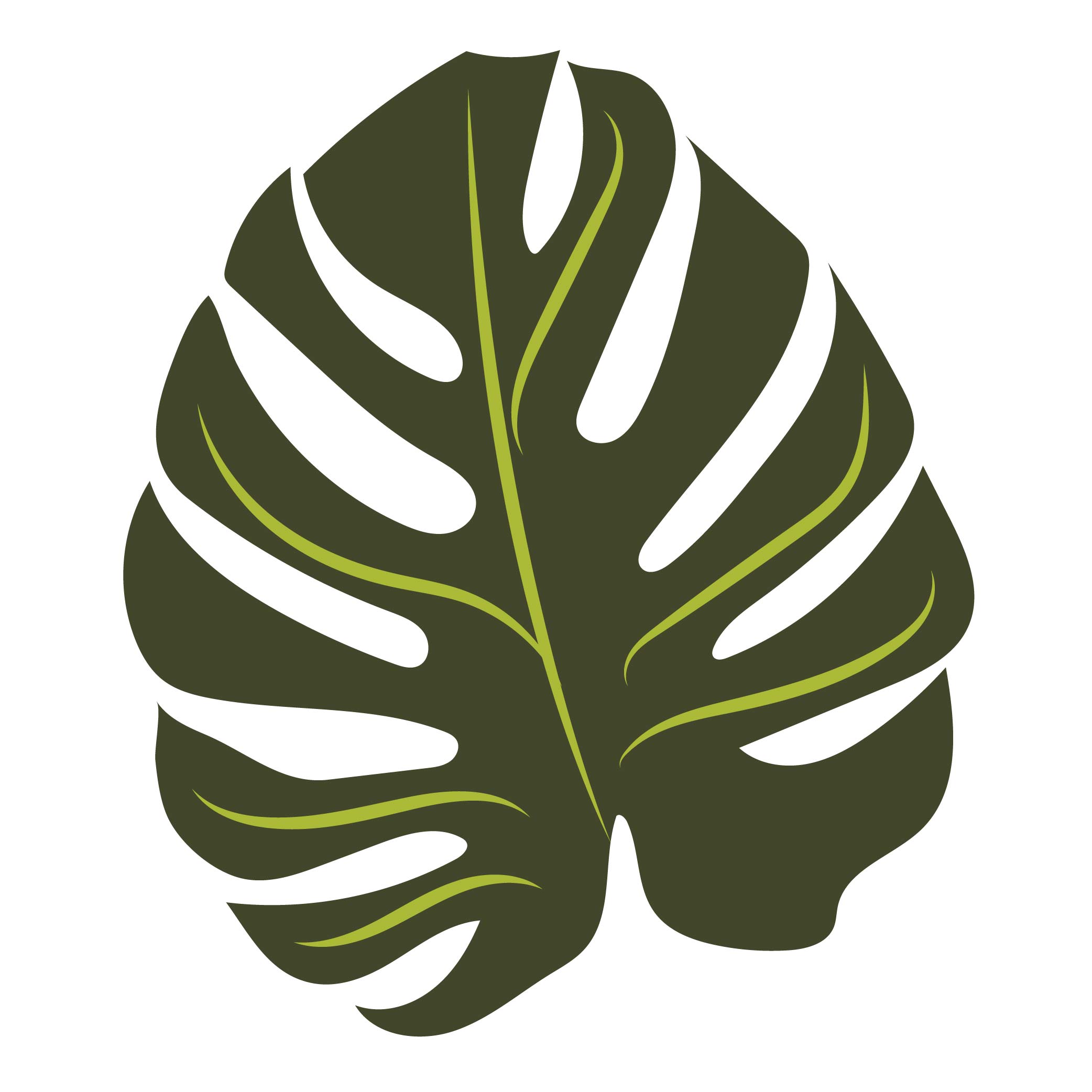 Monstera free SVG cut file